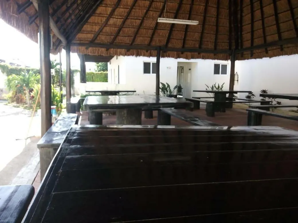Real Ibiza Plus By Hotel Colibri Creel Playa del Carmen Mexico